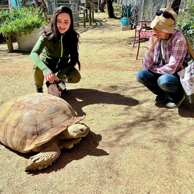 Women interacting with a tortoise in a playful manner.k