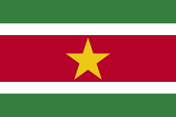 Suriname flag