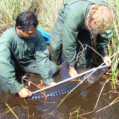 Professional Affiliation